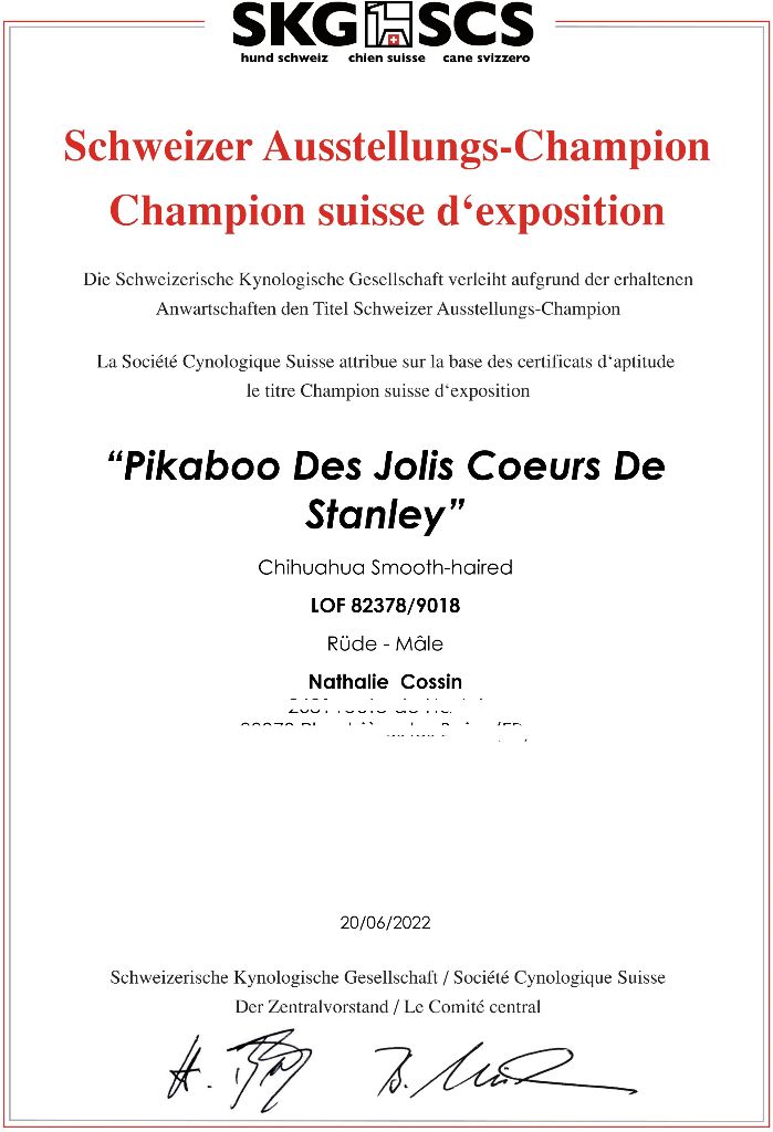de L'Arbre des Batailles - PIKABOO Champion des Expositions Suisses
