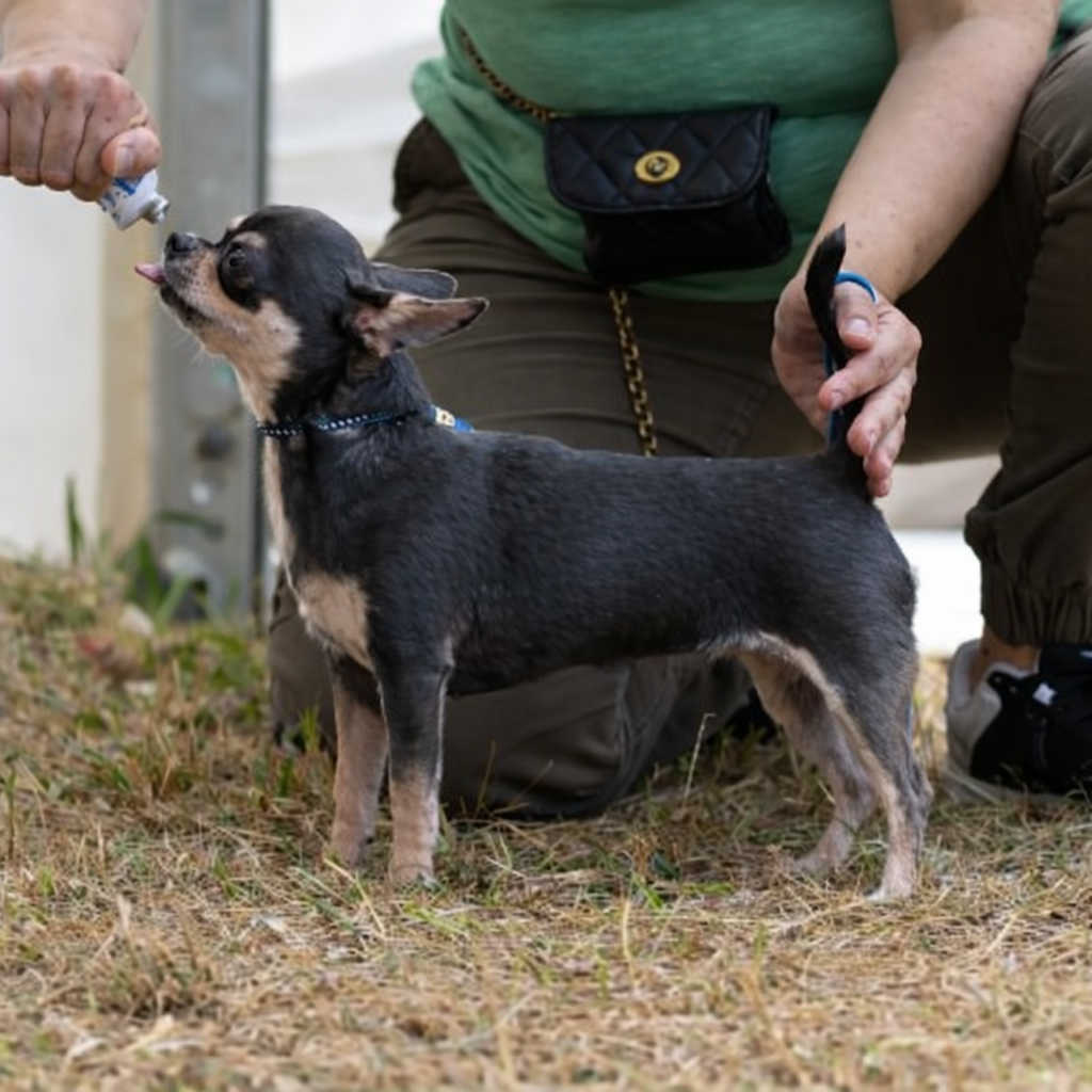 U make me crazy de L'Arbre des Batailles