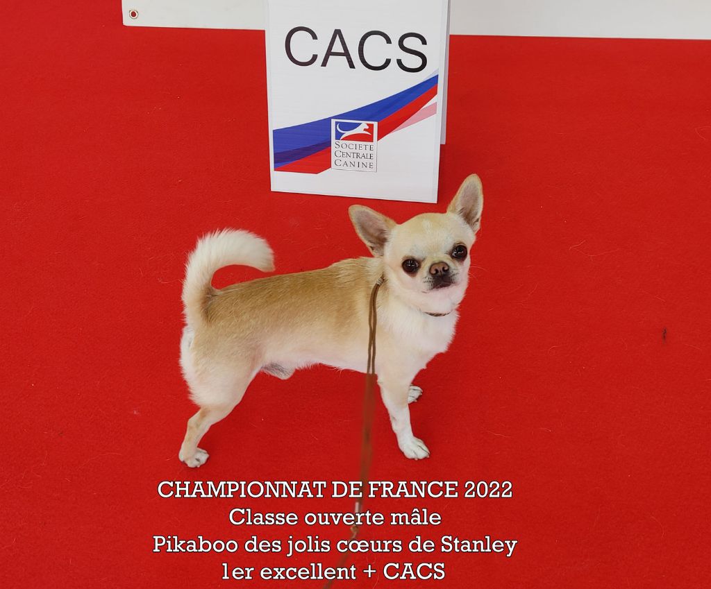 Pikaboo, CACS au Championnat de France 2022