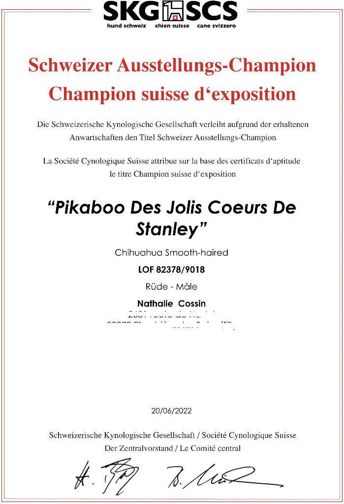 PIKABOO Champion des Expositions Suisses